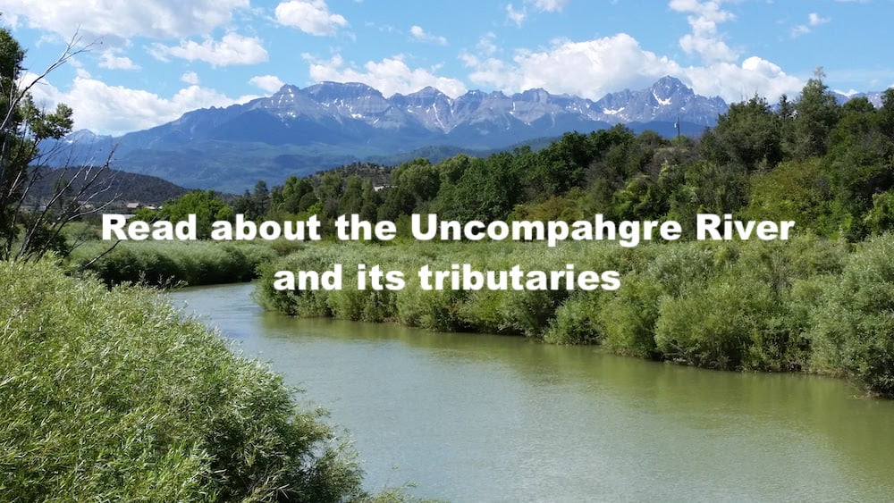 The Uncompahgre River and its Tributaries