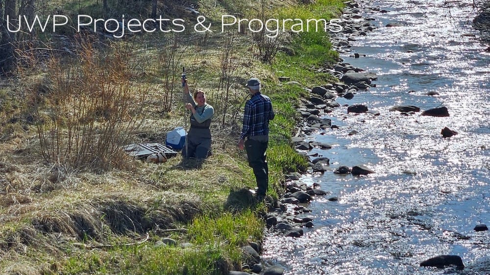 Projects & Programs